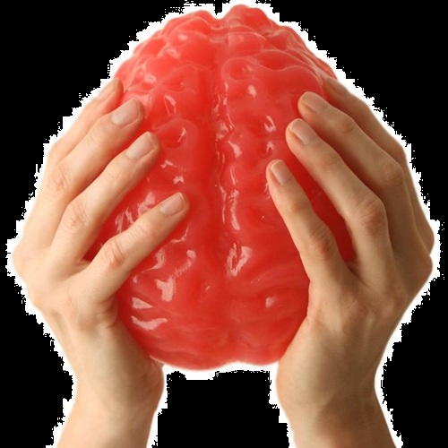 Halloween Candy For Sale Life Size Gummy Brain Store